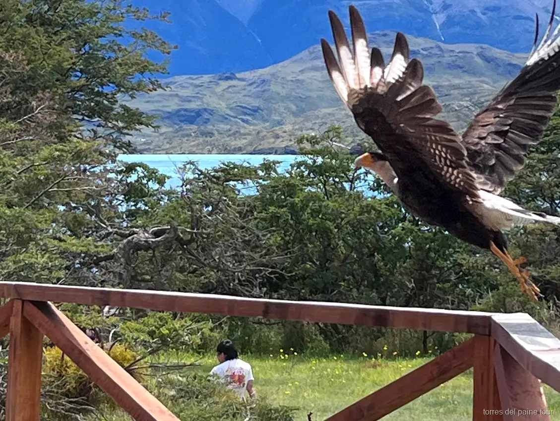 Private group enjoying panoramic views of Torres del Paine on the small-group tour