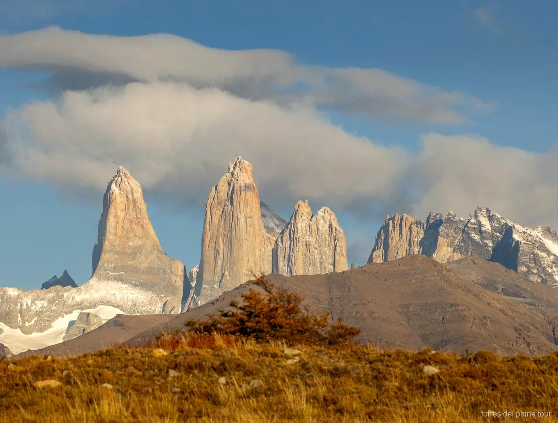 Guanaco spotted during the wildlife tracking tour in Torres del Paine National Park